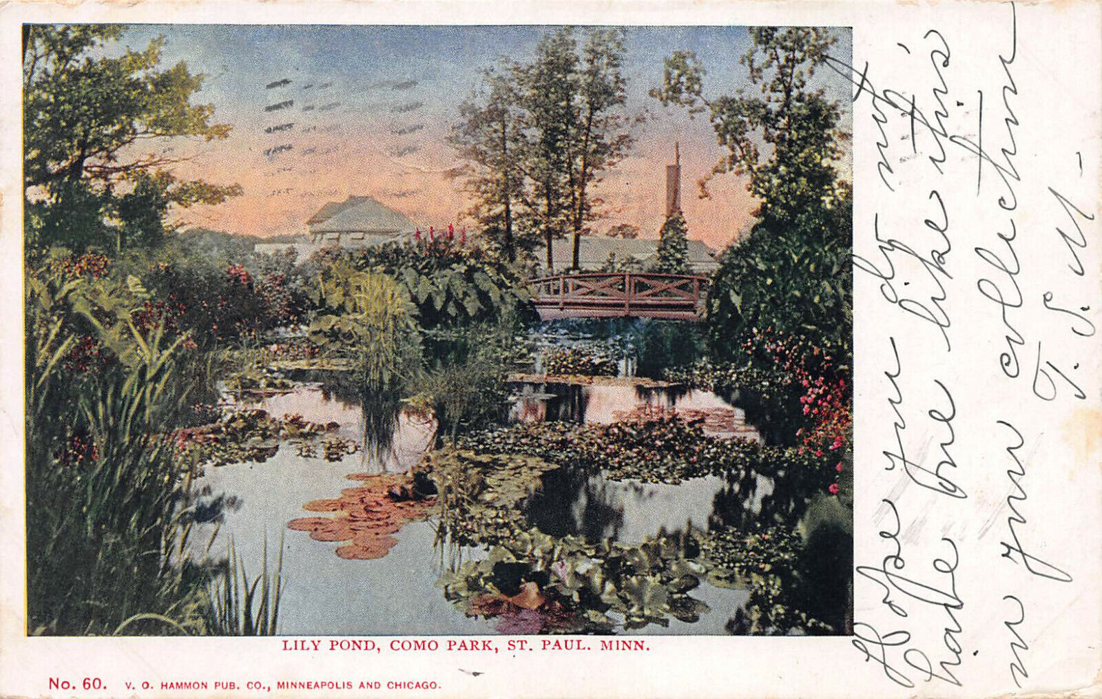 Lily Pond, Como Park, St. Paul, Minnesota, Early Postcard, Used in 1906