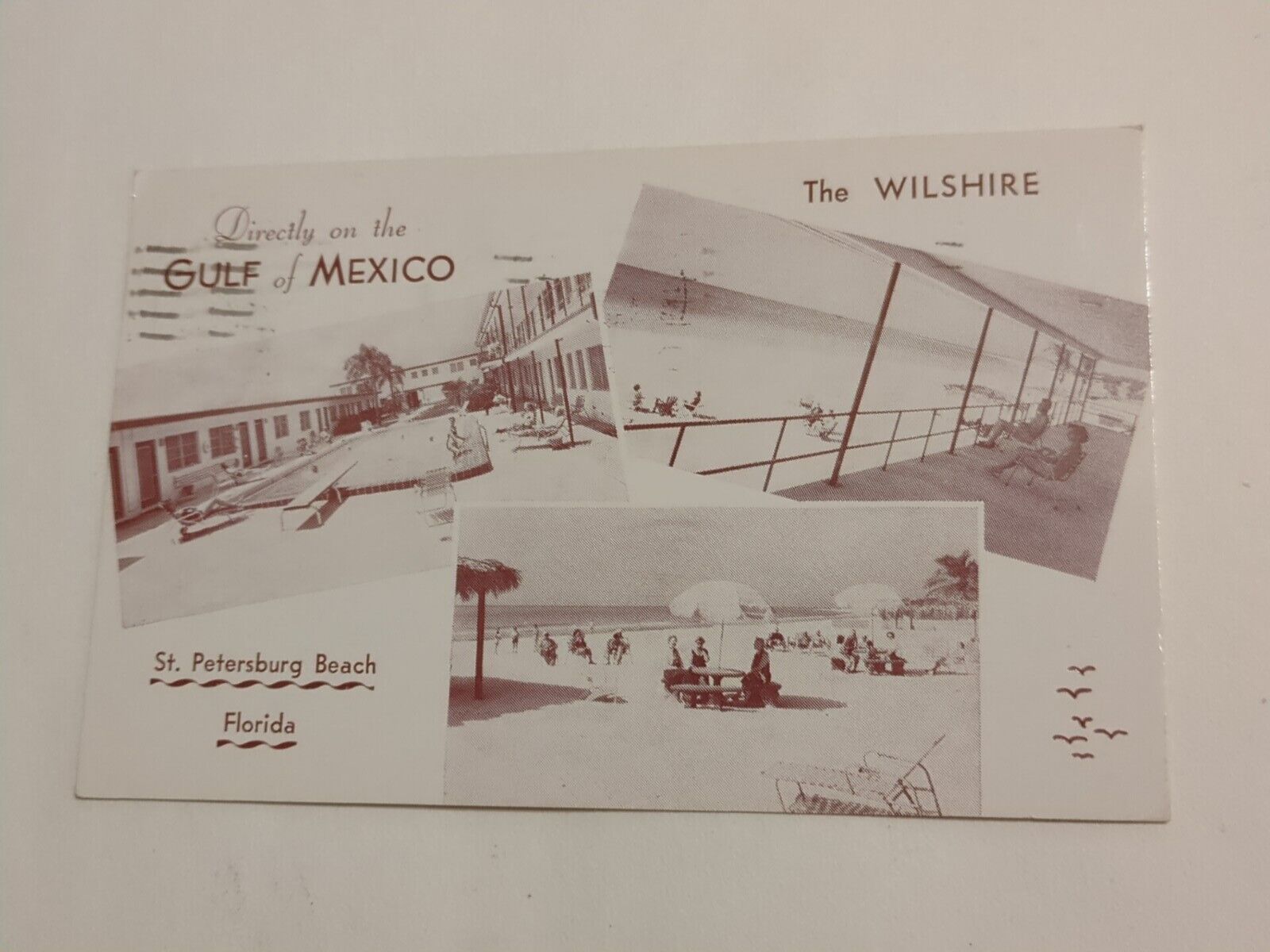 St. Petersburg Beach Florida The Wilshire Hotel Posted 1962 Postcard Multi View 