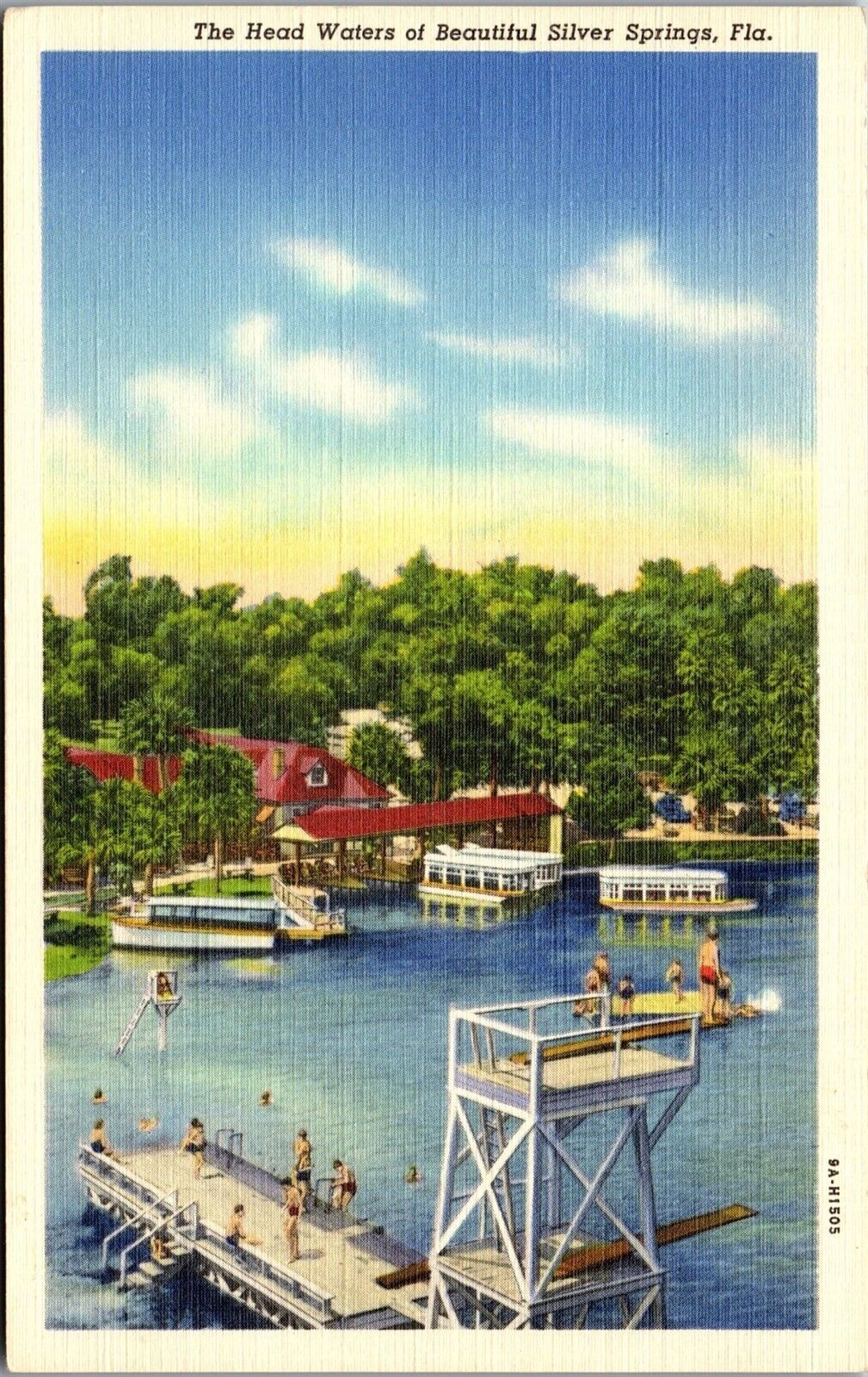 Vintage Florida FL Linen 1940\'s Postcard Swimmers Diving Board Silver Springs