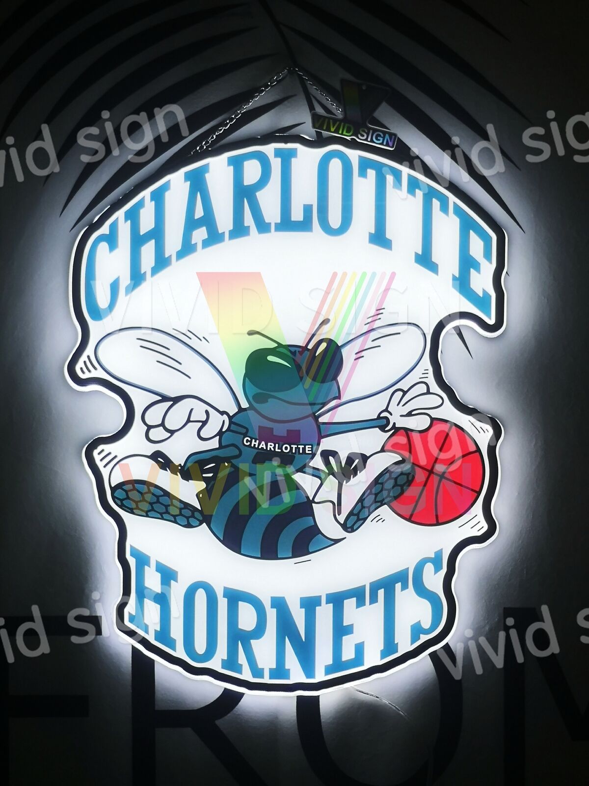 Charlotte Hornets 2D LED 20\