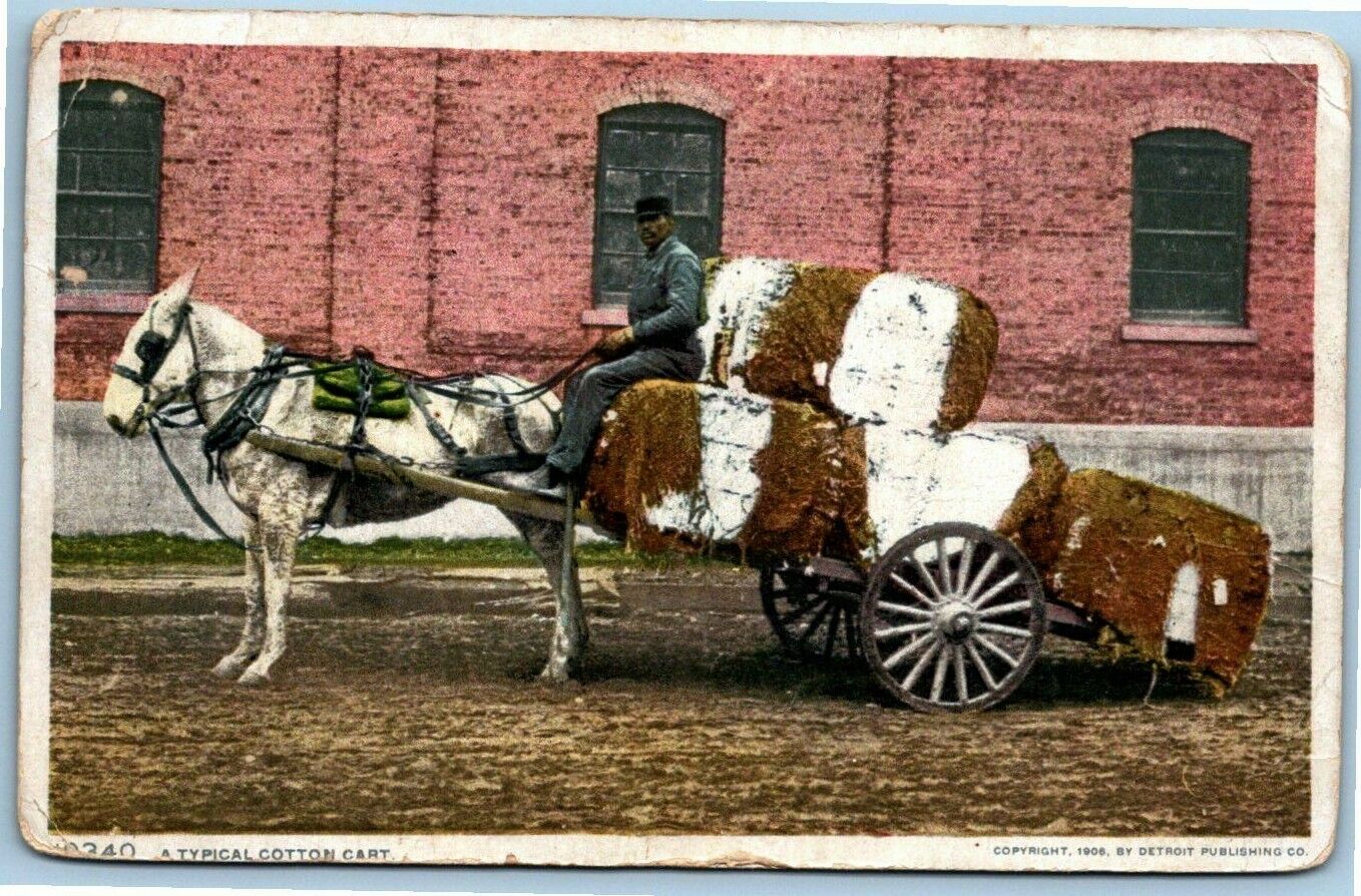 Antique Postcard~ A Typical Cotton Cart~ 1906 by Detroit Publishing Co.