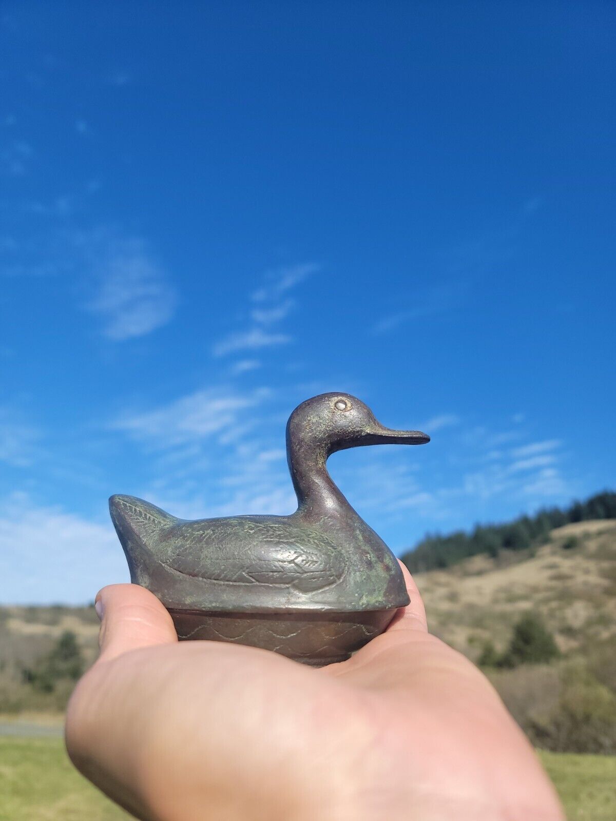 Old Unique Solid Brass Duck ☆ Neat Metal  2 piece Animal Box 
