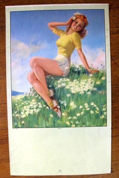 1940s Pinup Girl Picture by Erbit Cute Blond in Spring Daisy Field    M