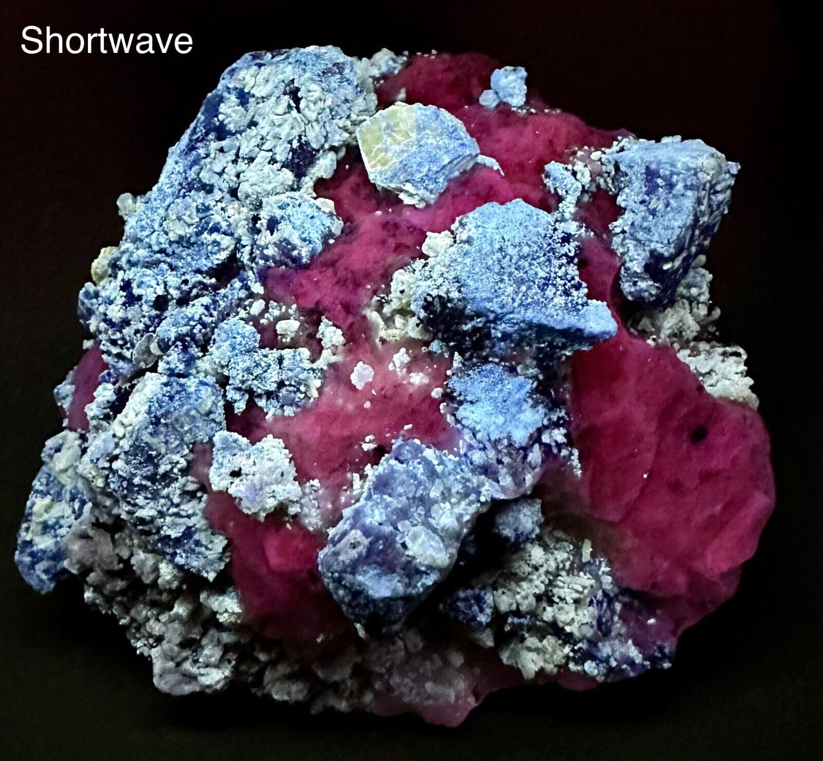 369 Gram Fluorescent Lazurite Coated Phlogopite, Diopside, Pyrites, Calcite Mtrx