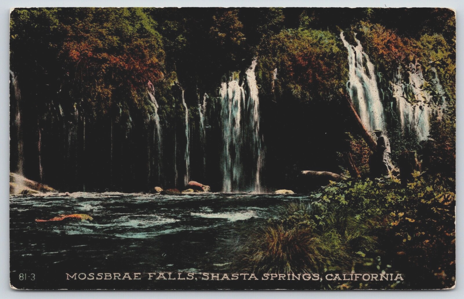 Postcard Mossbrae Falls, Sacramento Canyon, Shasta Springs, California Unposted