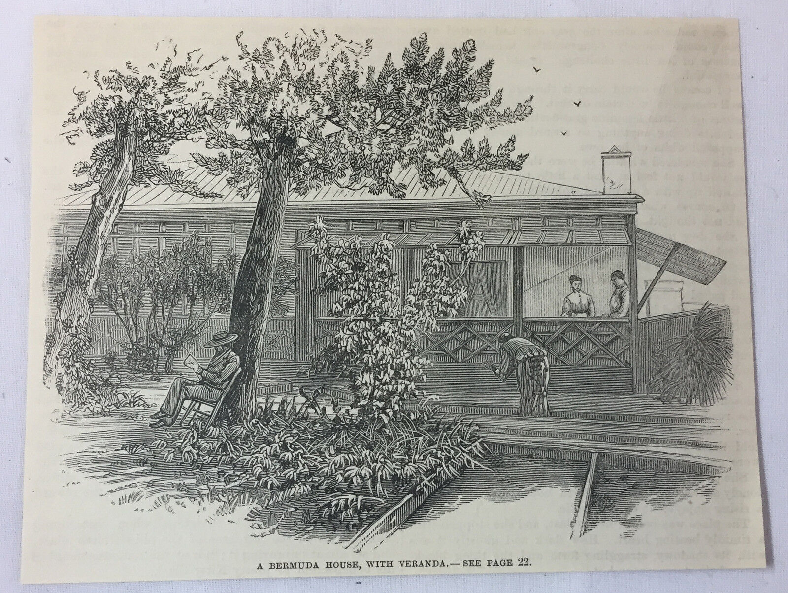 1886 magazine engraving ~ BERMUDA HOUSE WITH VERANDA