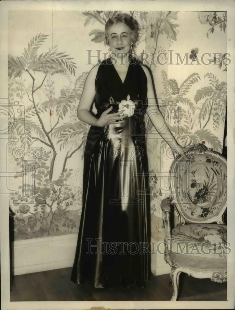 1933 Press Photo Ruth Bryan Owen in Dress for Roosevelt Inaguration - nef29283