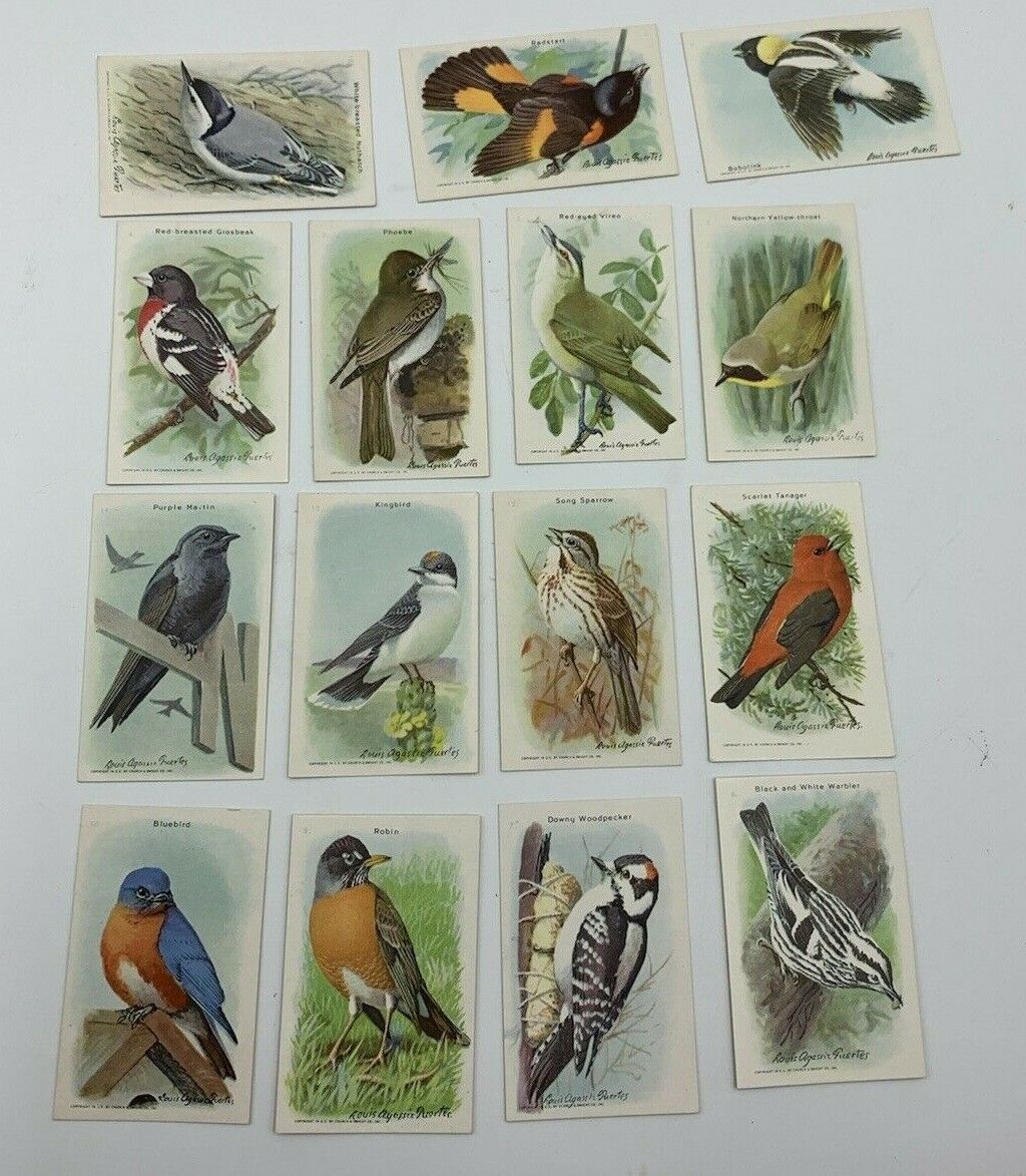 VIINTAGE 1930\'S USEFUL BIRDS OF AMERICA CARDS Arm & Hammer  9th SERIES 1-15 LOT 