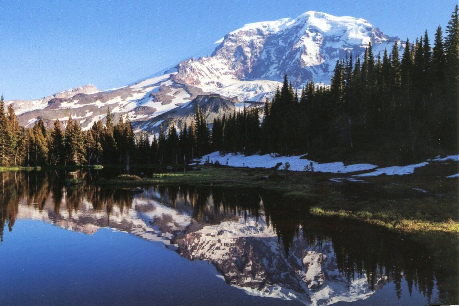Mount Rainier National Park, Washington --POSTCARD