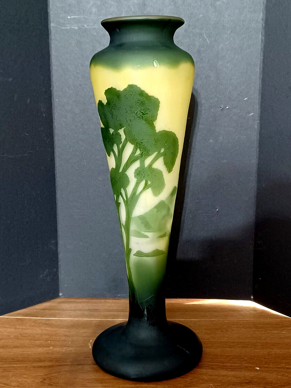 Antique French Art Nouveau LA ROCHERE Cameo Glass Vase, 13.75\