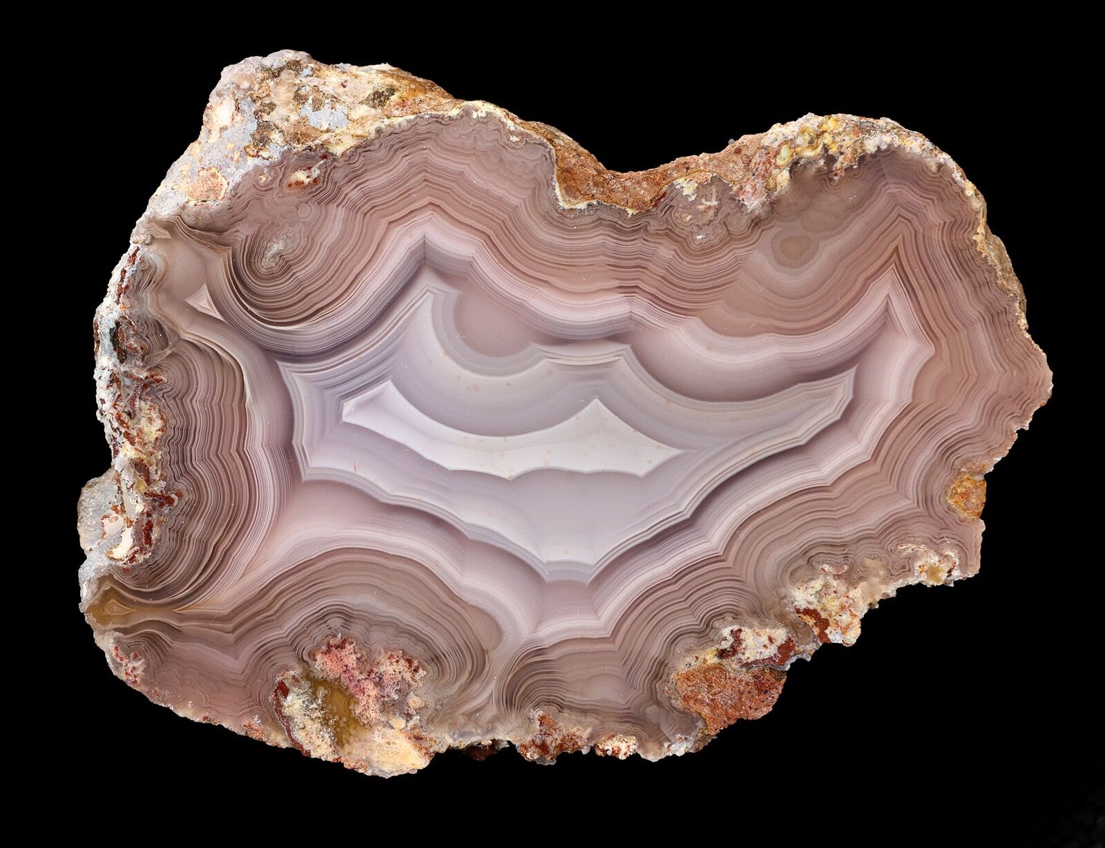 Amazing LARGE Banded Laguna Agate From Mexico Collectors Grade