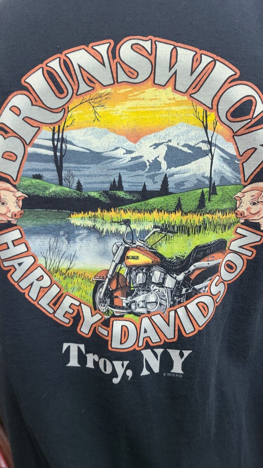 2013 Harley Davidson Dealer T-Shirt Brunswick Troy, NY Black Men's XL