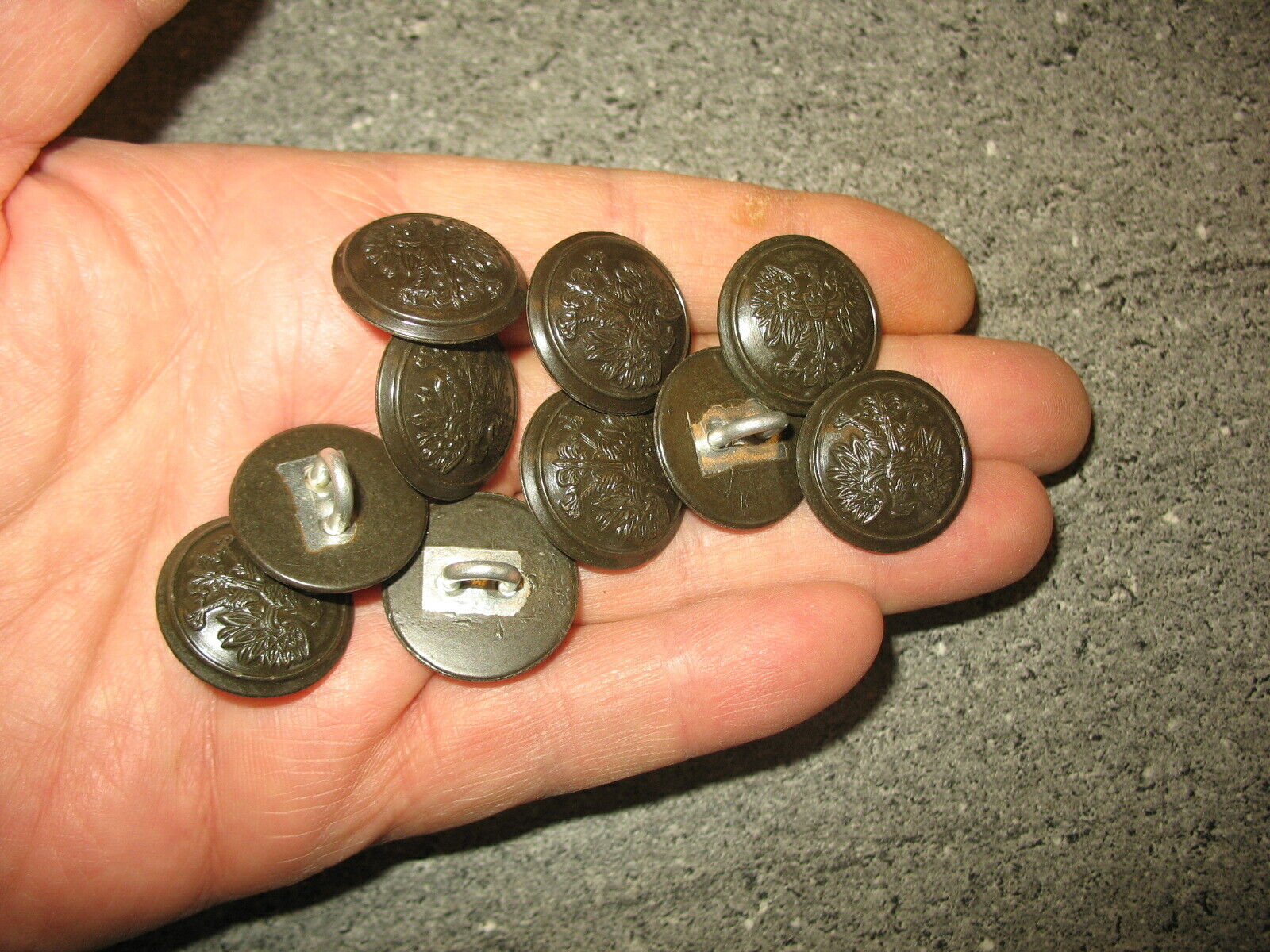 10 pieces of old Polish military buttons