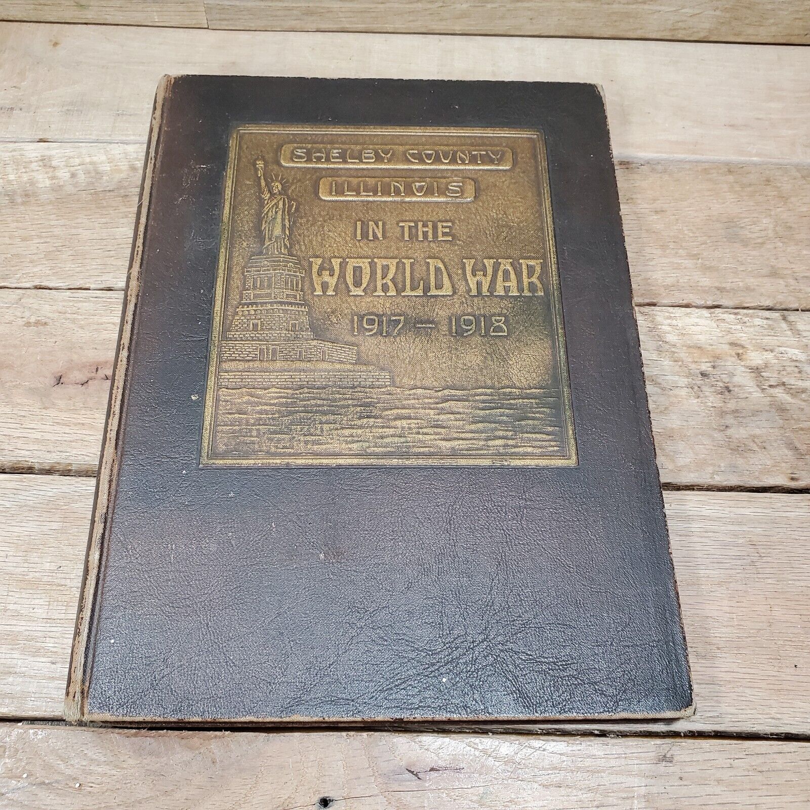 RARE 1919 WWI BOOK SHELBY COUNTY SHELBYVILLE ILLINOIS IN THE WORLD WAR
