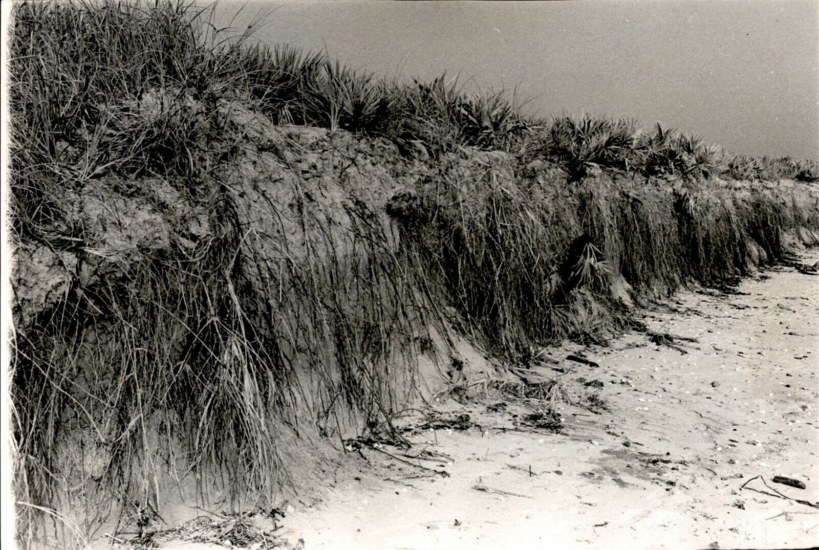 LG903 1962 Original Photo BEACH EROSION PROBLEM Receding Coastal Sand MIAMI