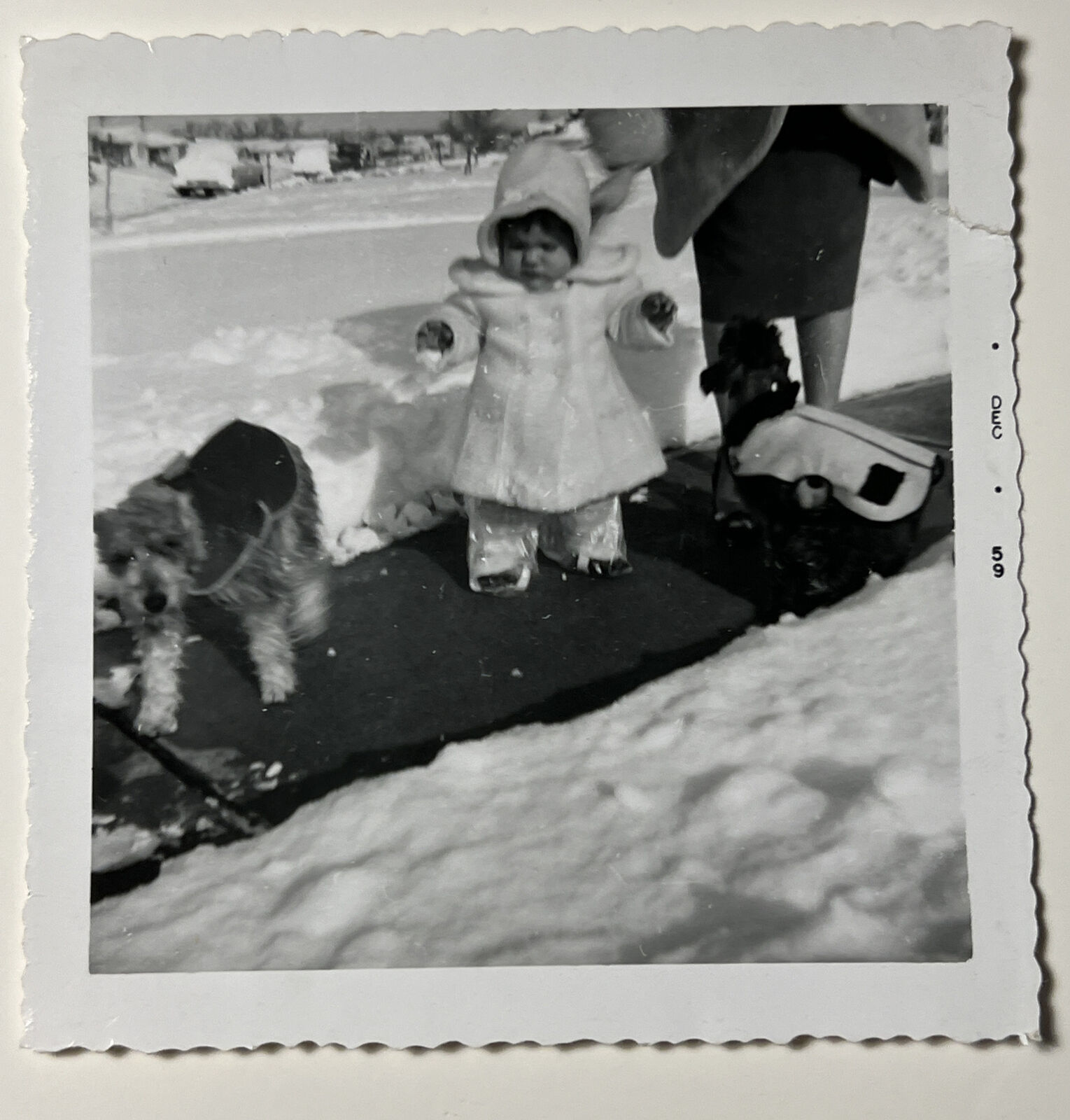 vintage 1959 Baby Toddler in SNOW w DOGS in JACKETS Snapshot Photo