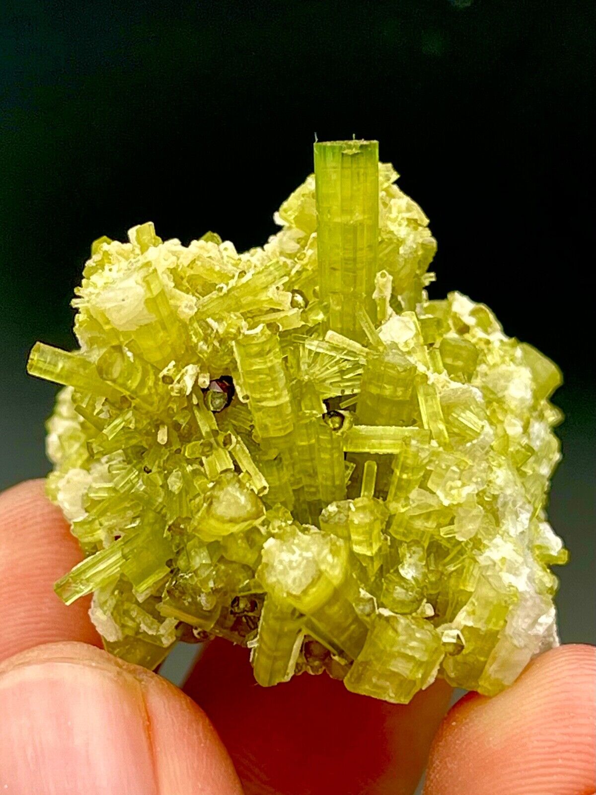 170 Carat Natural Green Tourmaline Cluster Specimen @ Mineral Specimens