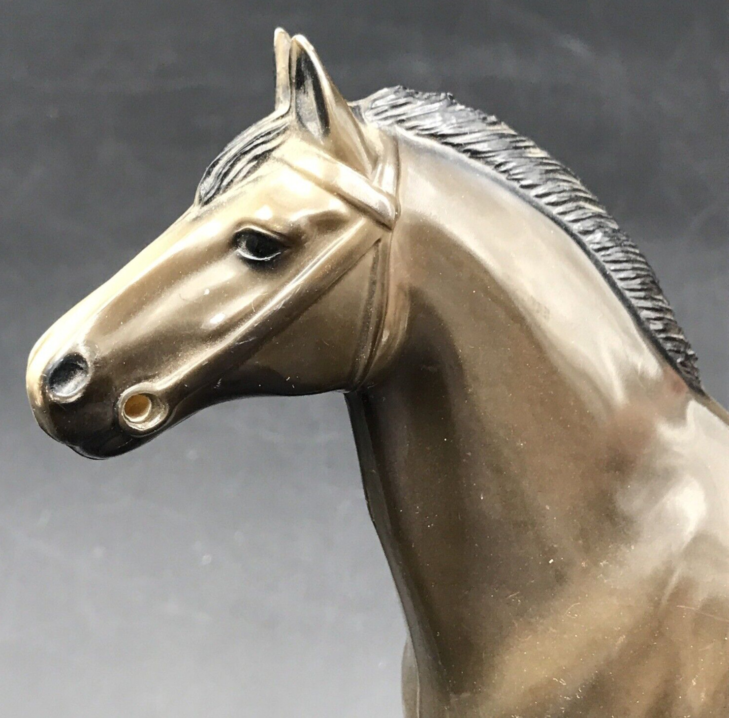 Hartland Grey & Black Appaloosa Riding Horse - No Reign
