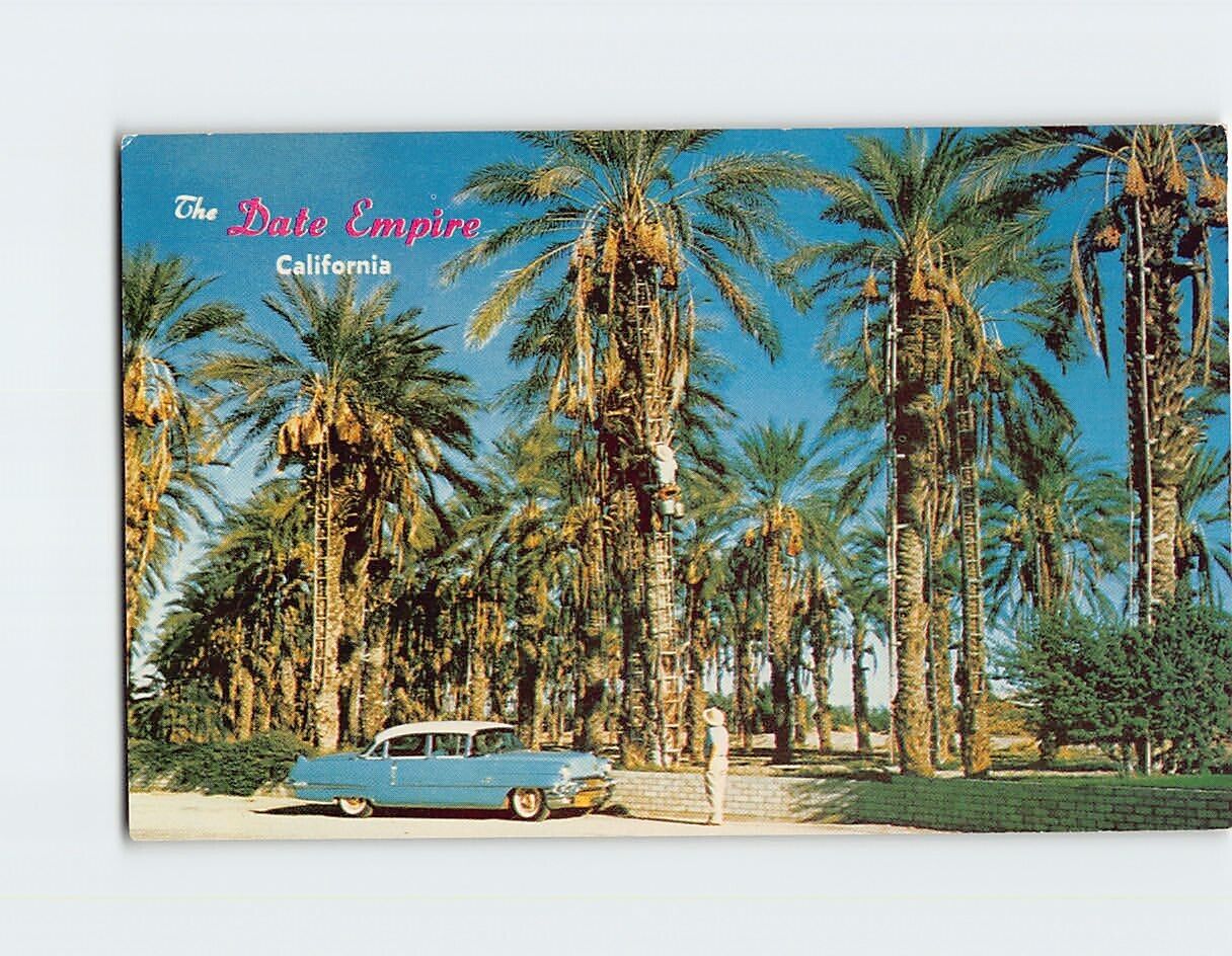 Postcard Date Harvest Indio California USA