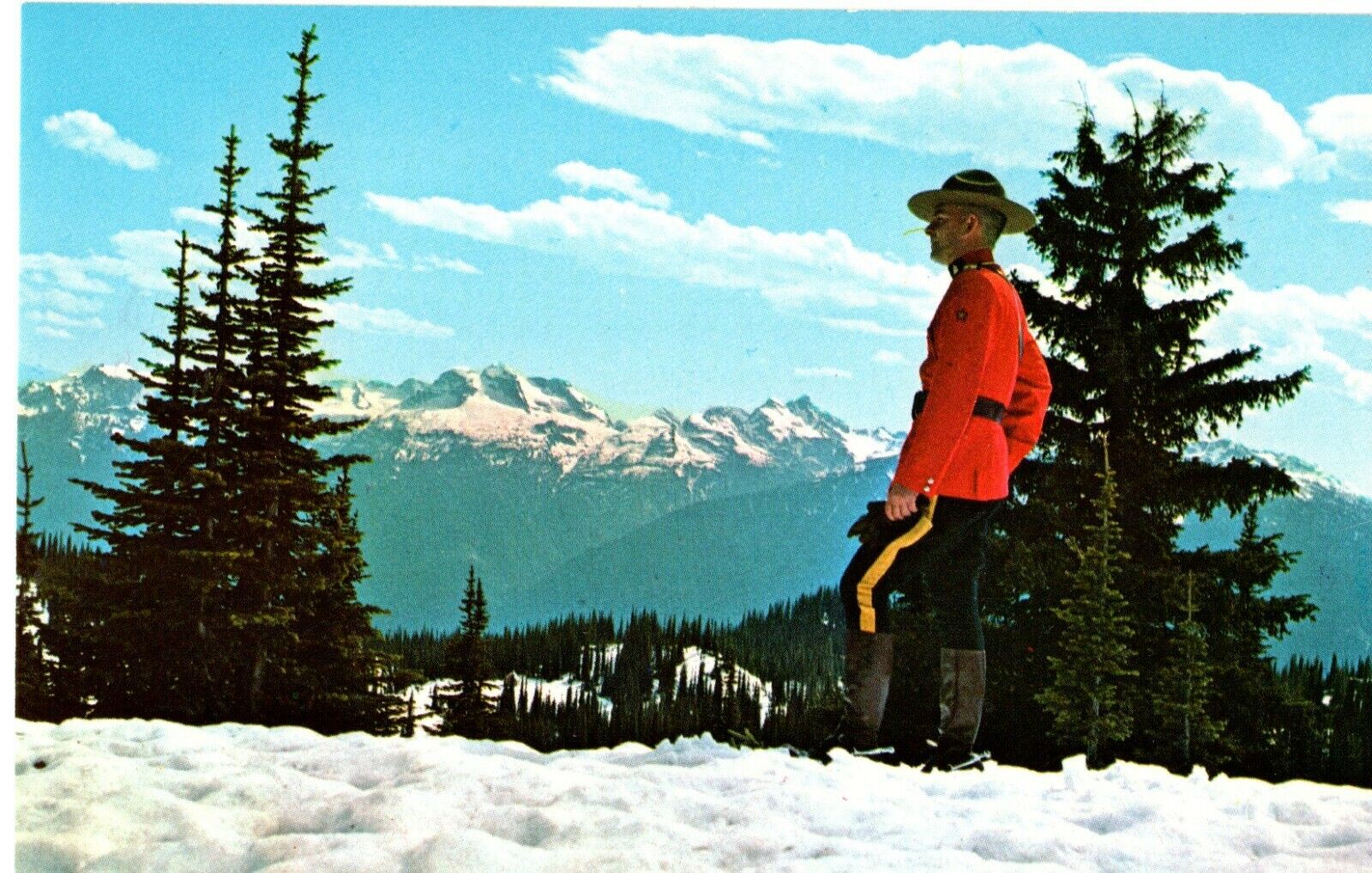 Mountie, Mt. Begbie, Monashee Mtn Range Revelstoke Natl Pk, B.C. Canada Postcard