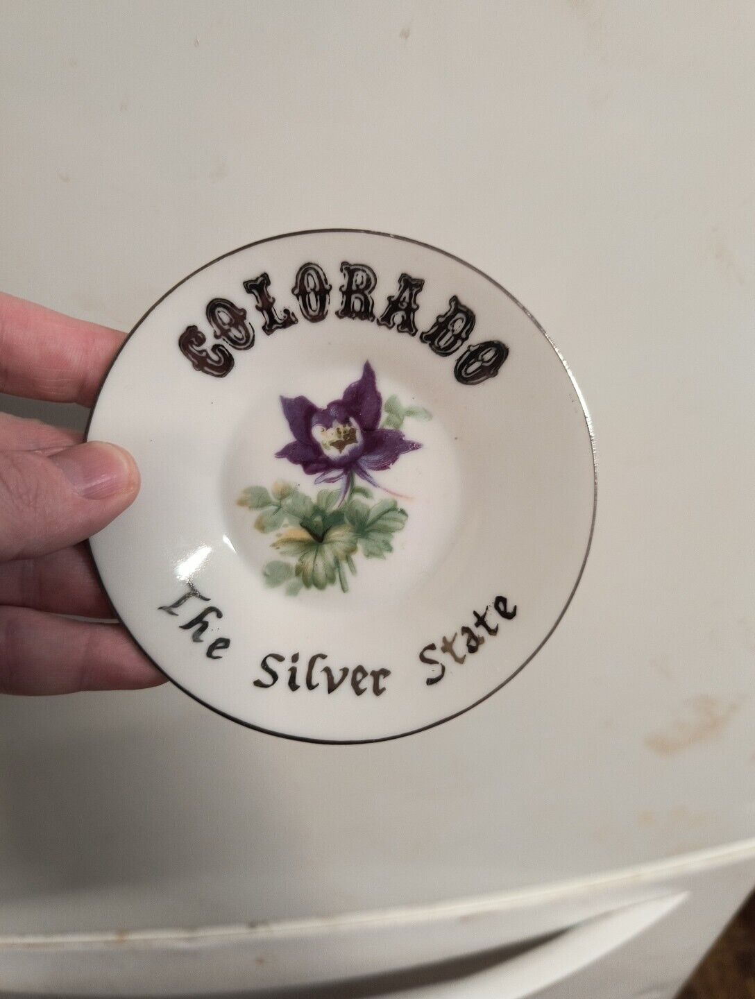 Norcrest Fine China Colorado The Silver State Teacup And Saucer