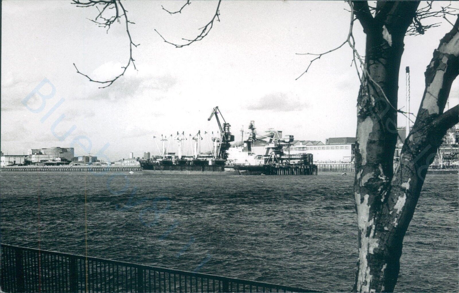 Cyprus MV emil S at silvertown 1995 ship photo view 2