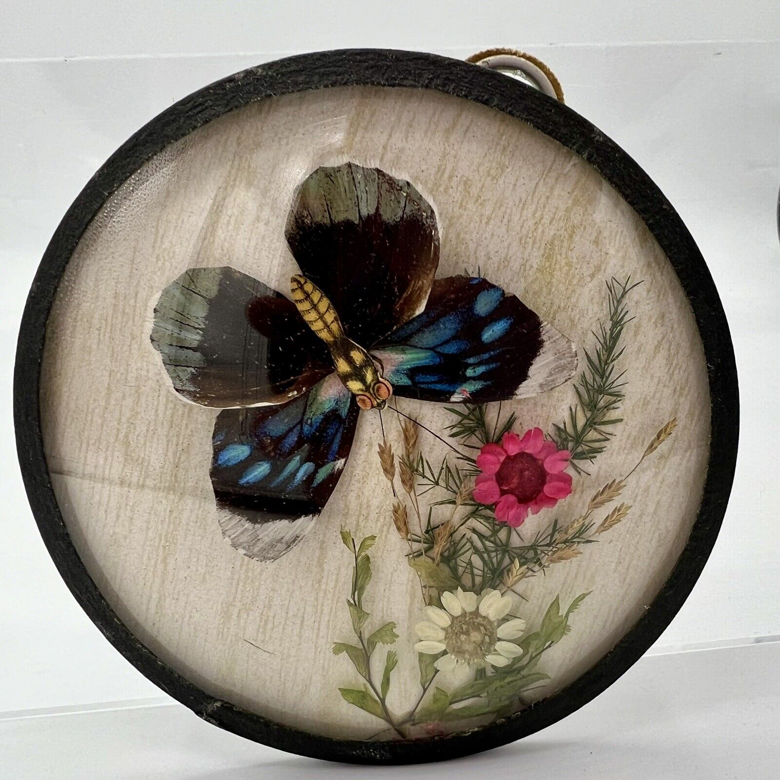 Vintage Dried Flower Real Butterfly Round Framed  Taxidermy Wall Art Blue Pink