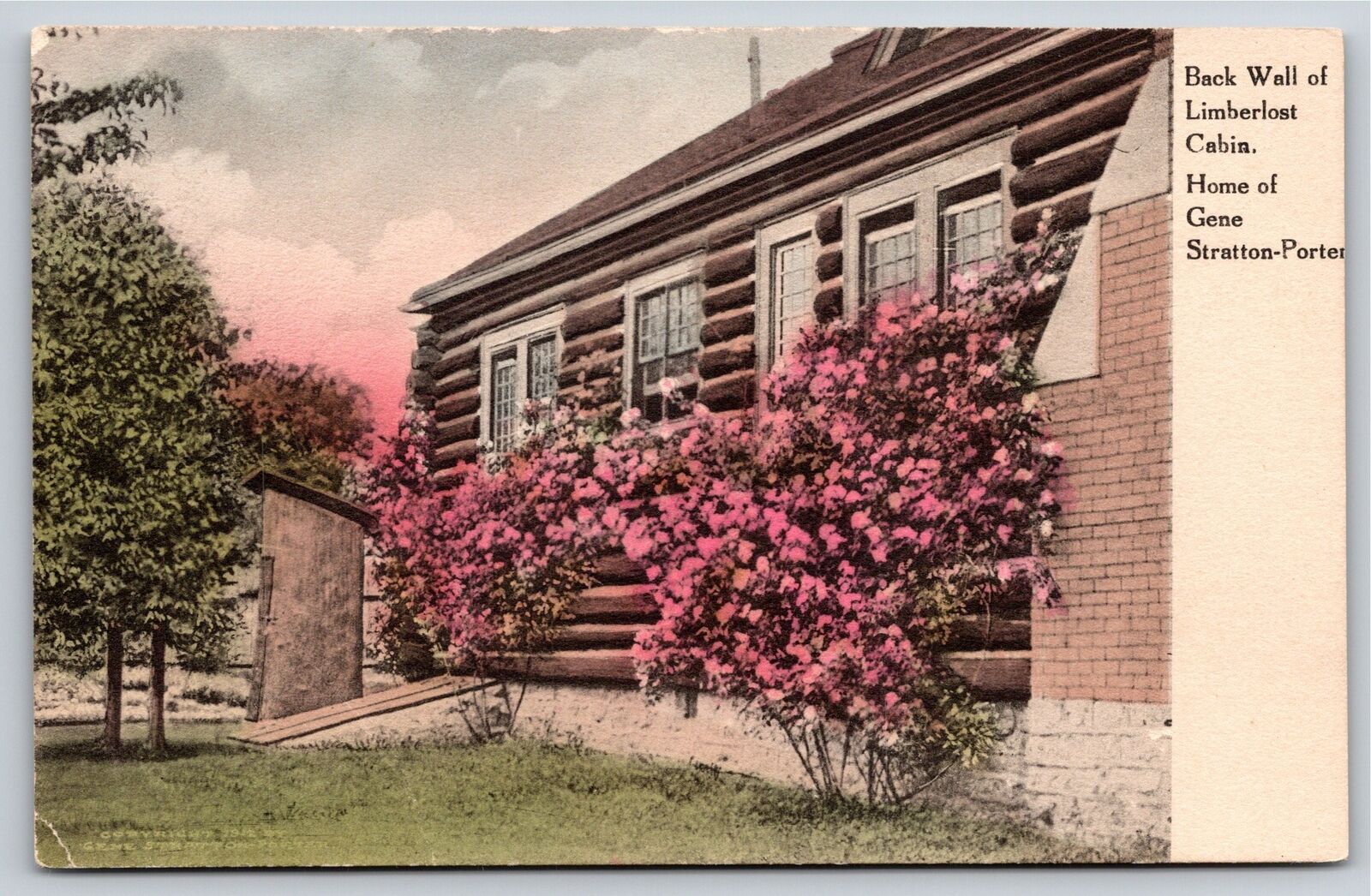 Brooklyn NY~Back Wall of Limberlost Cabin Home Gene Stratton~Vintage Postcard