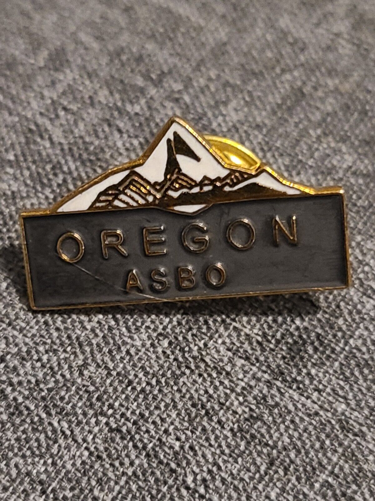 Oregon ASBO Lapel Pin 