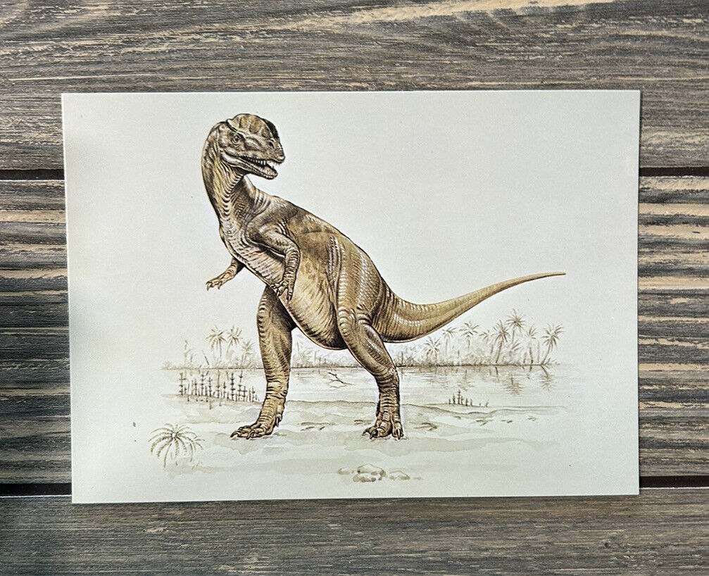 Vintage Dilophosaurus Card DPG 152 Postcard