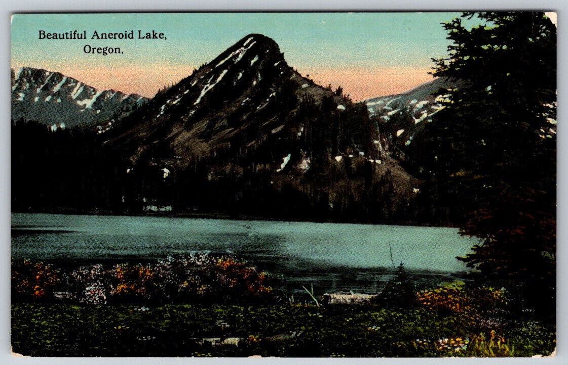 Beautiful Aneroid Lake Oregon Ore Postcard VTG