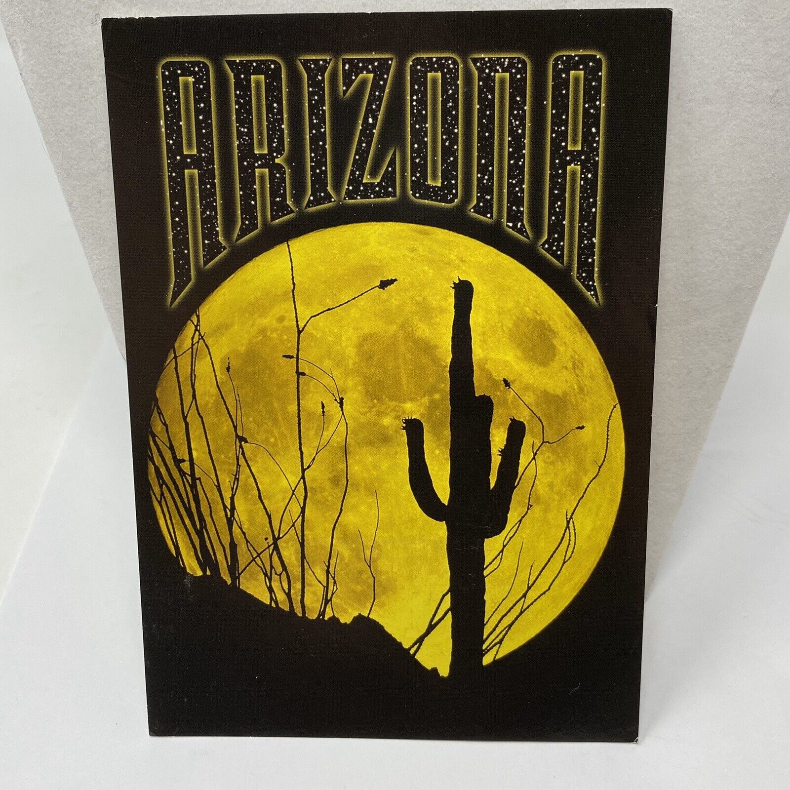 Vintage Postcard Arizona Cactus Superstitious Mountain Moonlight