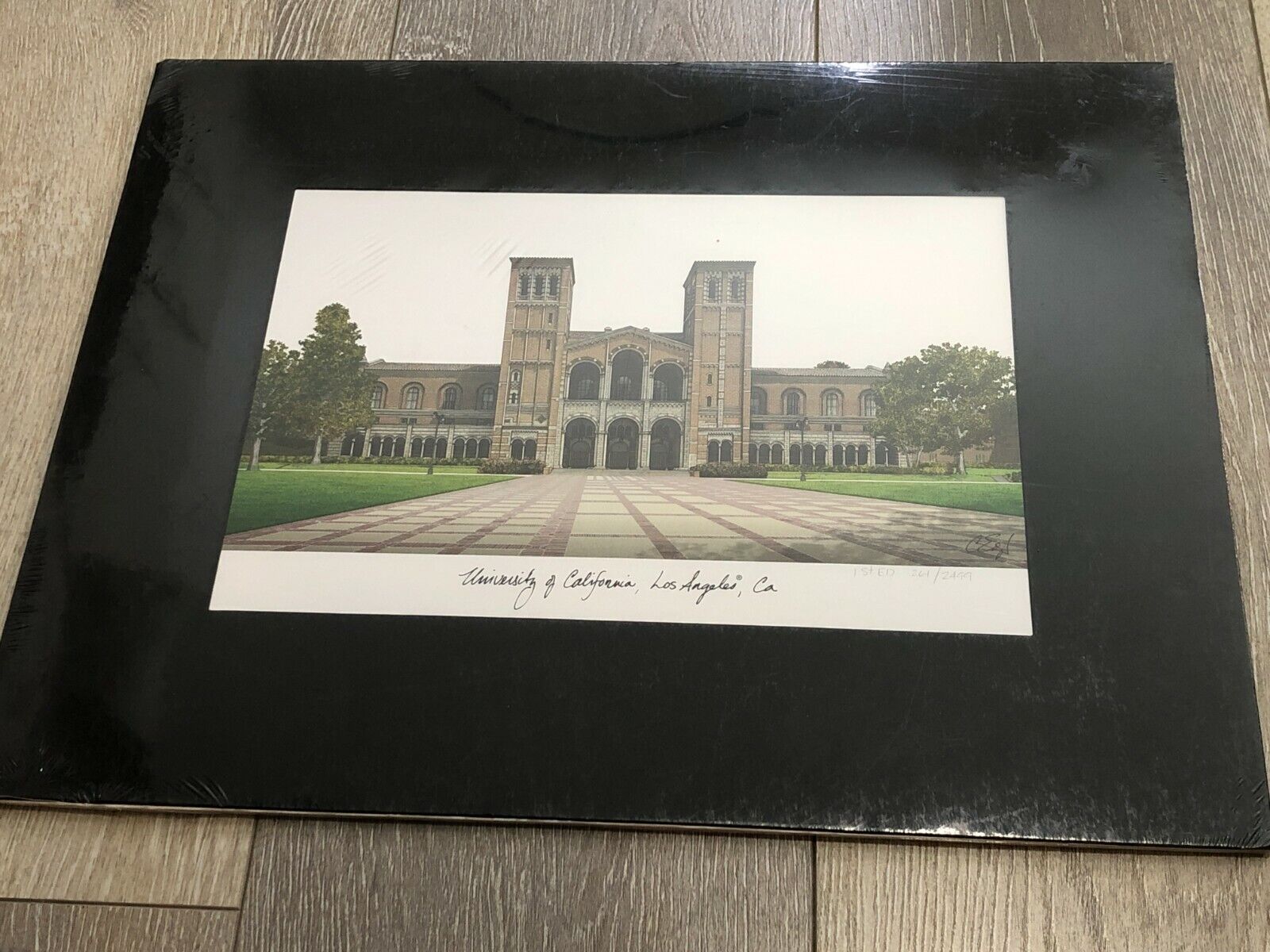 University of California, Los Angeles, CA Campus Images Lithograph Print, 1st Ed