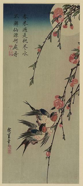 Gekka momo ni tsubakura,Hiroshige Ando,Photo of Ukiyo-e,Japan,Swallows,1850s