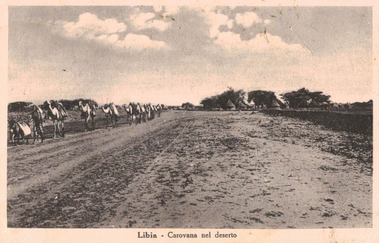 Benghazi,Libya,No.Africa,A Desert Caravan,c.1909