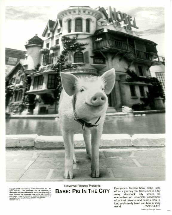 BABE: PIG IN THE CITY Original 8x10 Press Photo