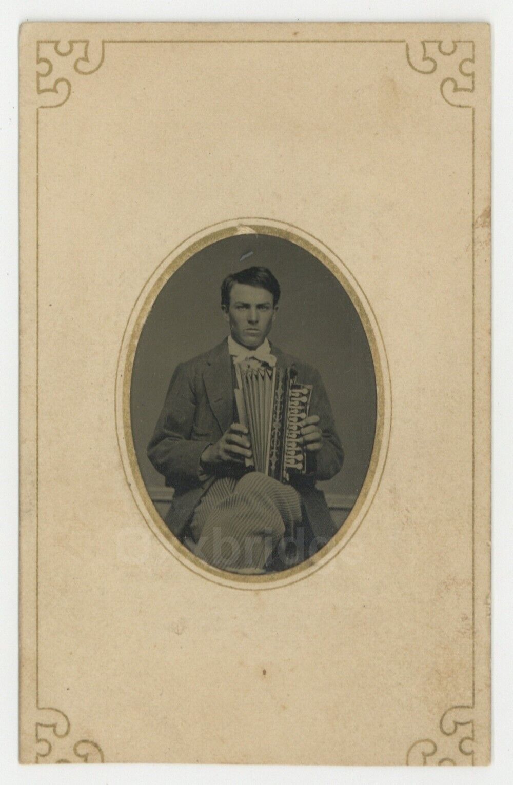 Flutina Musician Tintype 1880 Handsome Man Playing Accordion Music Instrument
