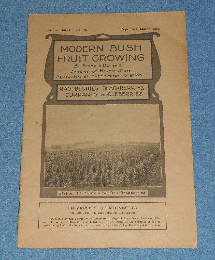 1925 Minnesota University Agricultural Bulletin #79 Modern Bush Fruit Growing