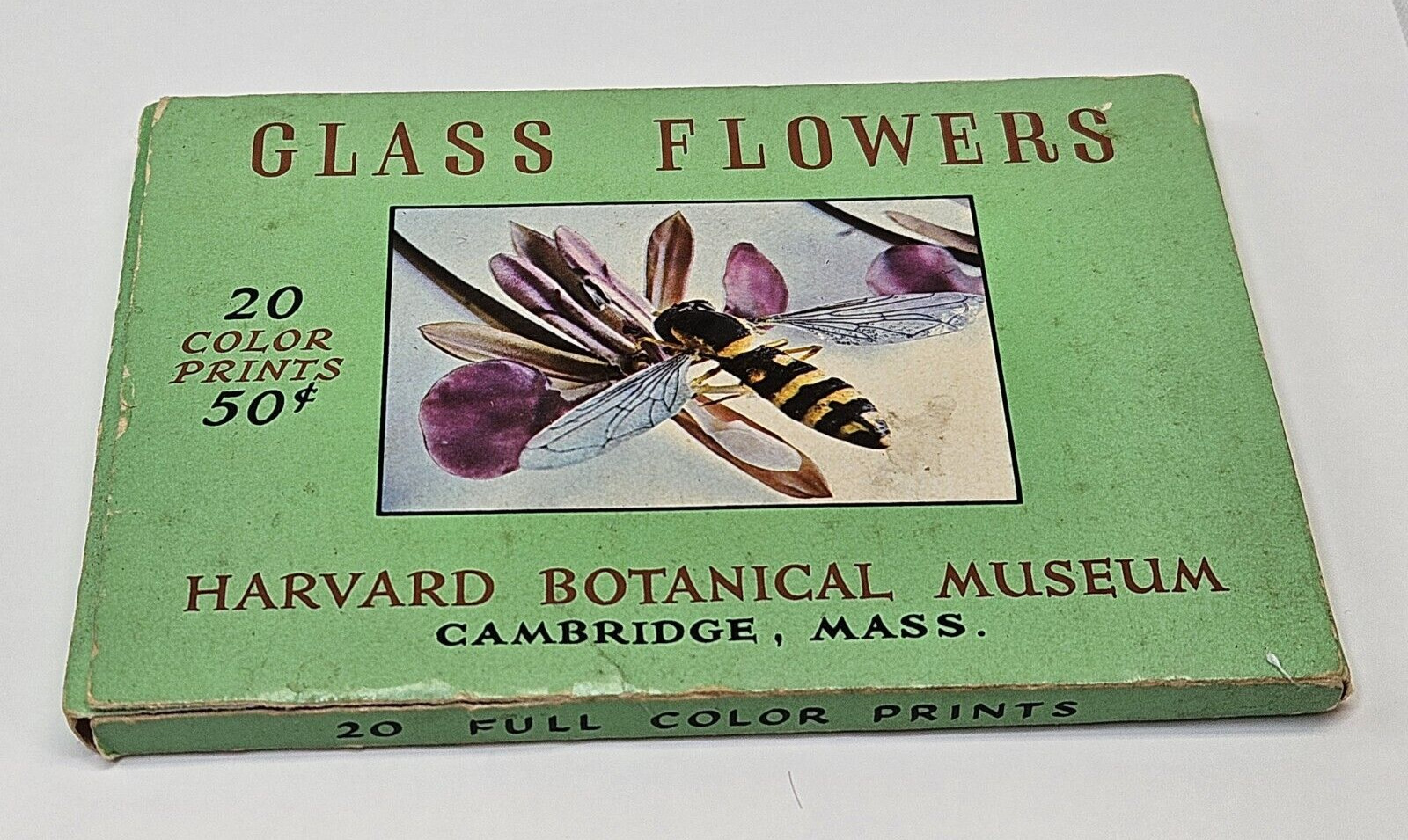 Vintage Harvard University Botanical Museum Color Print Card Set