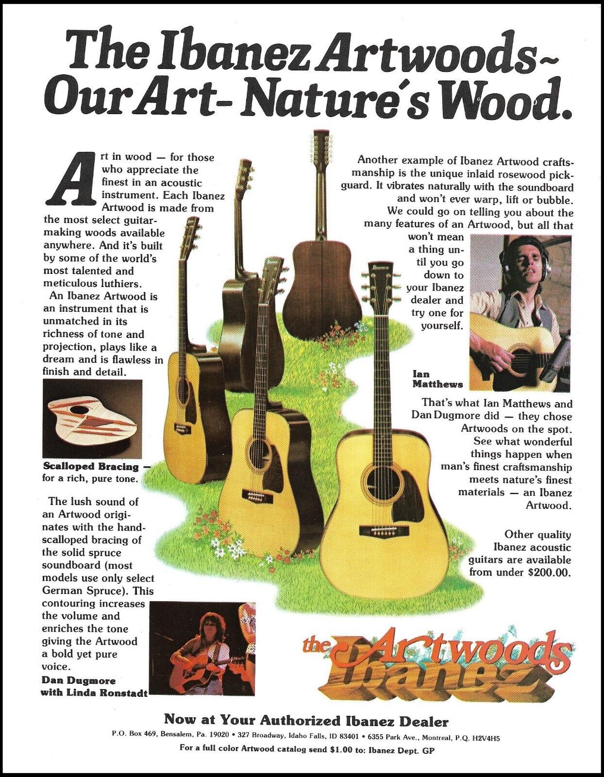 1980 Ibanez Artwood AW acoustic guitar series ad Ian Matthews Dan Dugmore