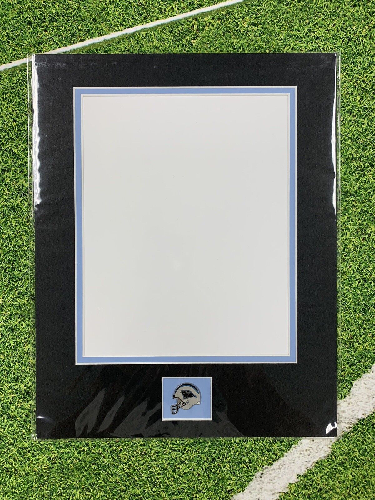 Mats For An 8x10 Opening Outside Is 11x14 With Pin Carolina Panthers