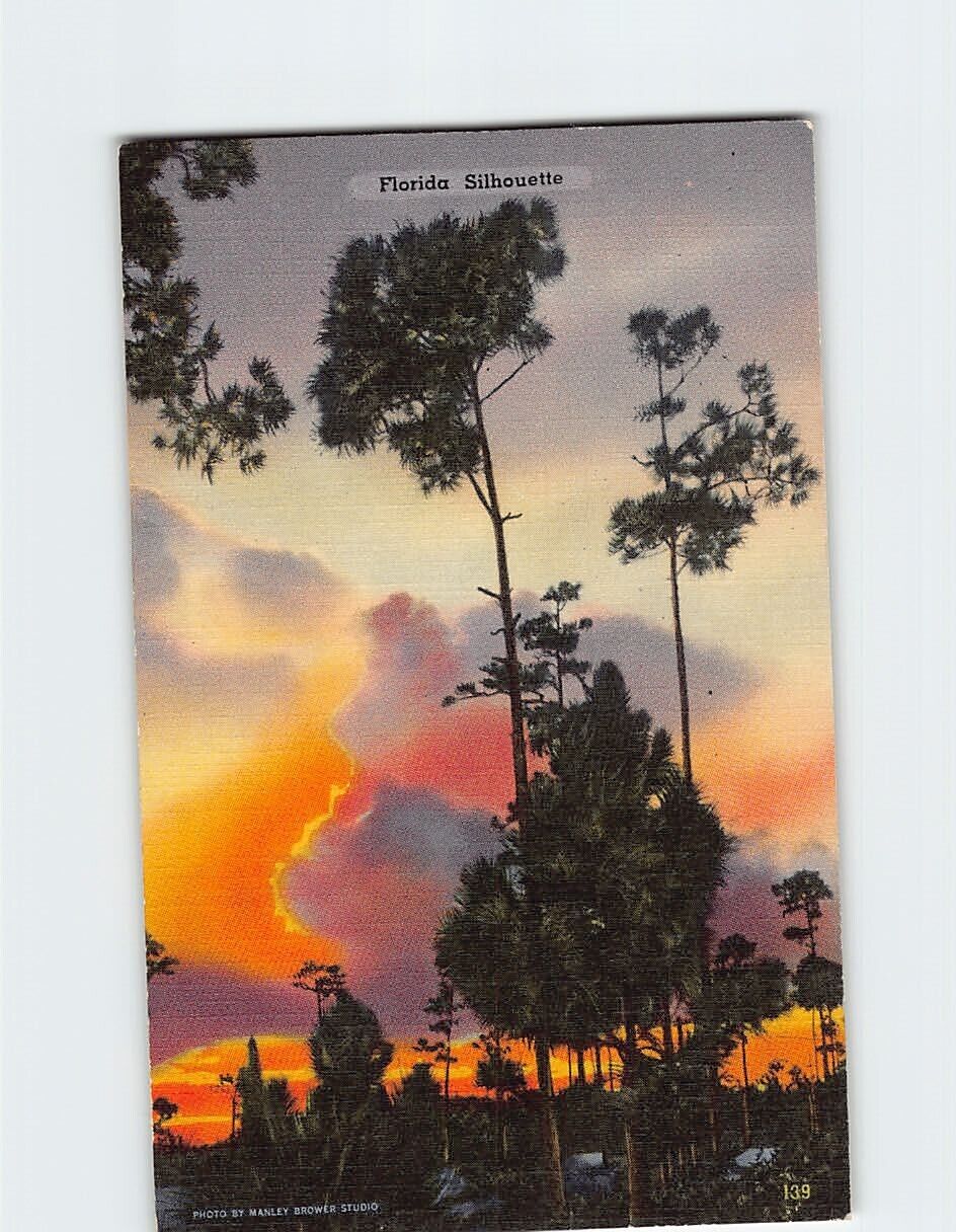 Postcard Florida Silhouette USA