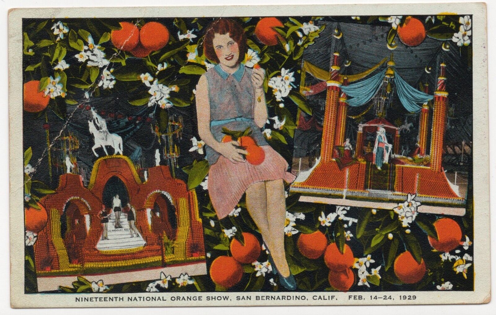 Nineteenth National Orange Show, San Bernardino, California 1929 Posted Postcard