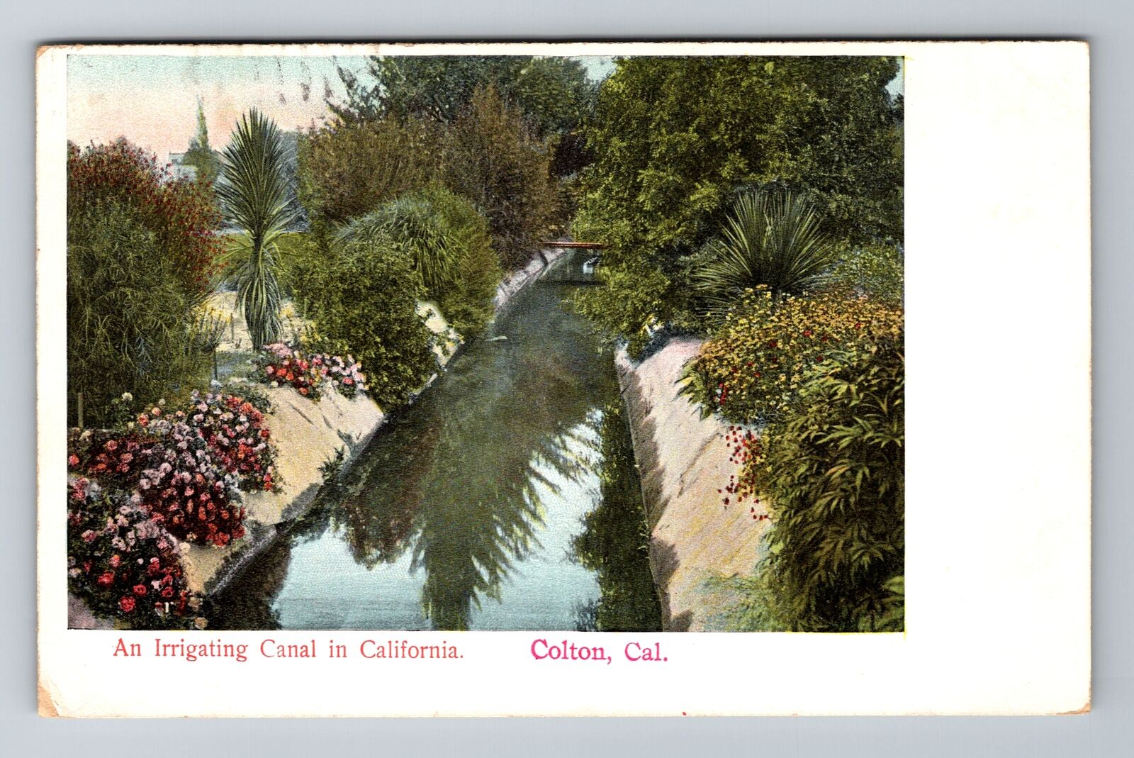 Colton CA-California, Irrigation Canal, Antique Vintage c1907 Souvenir Postcard