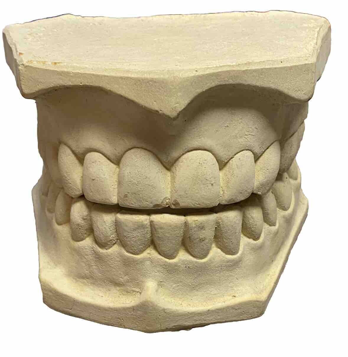Large Vintage Dental Teeth Impression Molds Plaster Matching Upper Lower