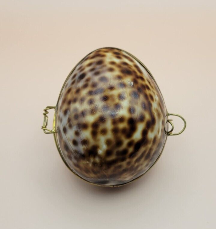 Leopard Print Cowry Sea Shell Brass Hinged Jewelry Trinket Box
