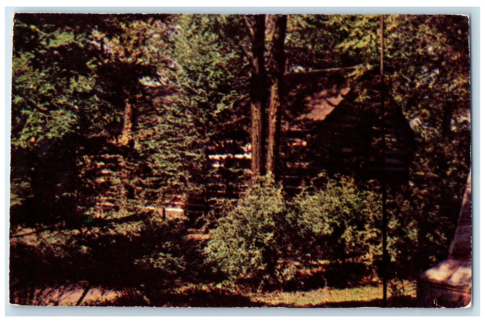 c1960\'s Notre Dame\'s Log Chapel Exact Replica Notre Dame Indiana Trees Postcard