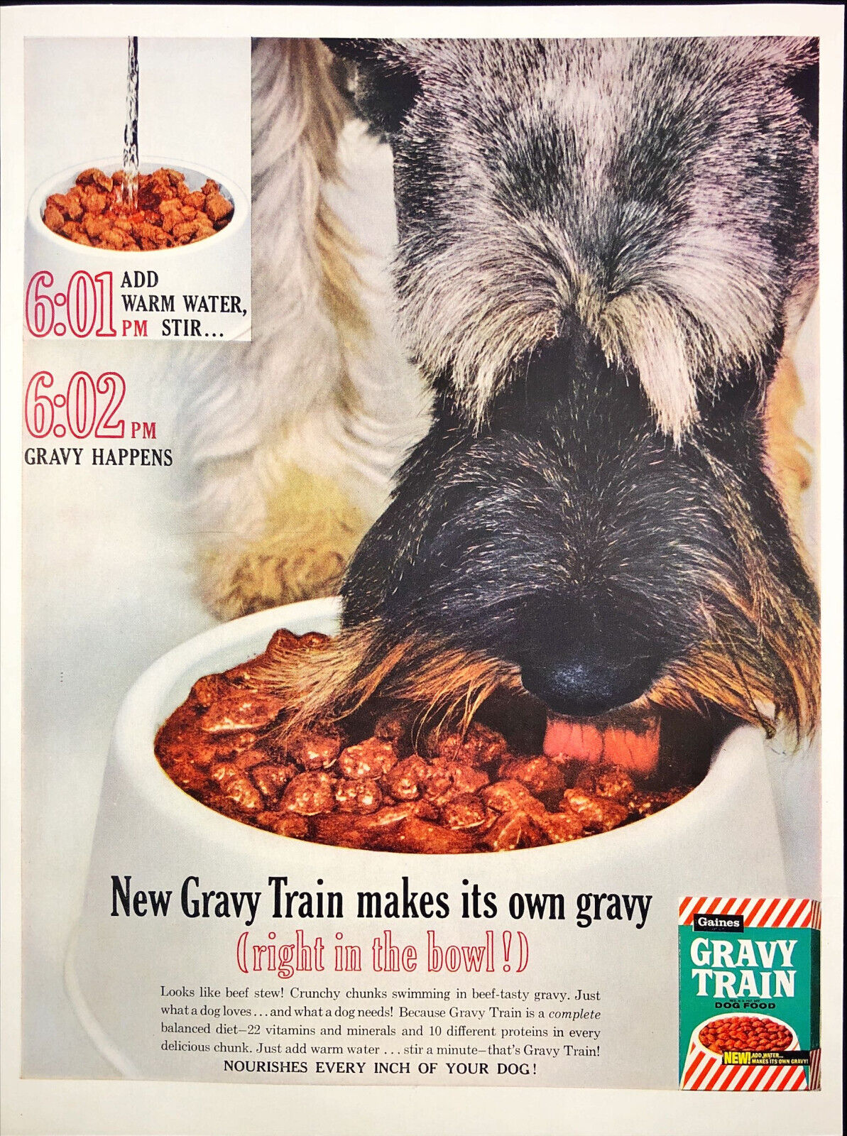 1961 New Gravy Train Dog Food Makes its own Gravy Vintage Print Ad