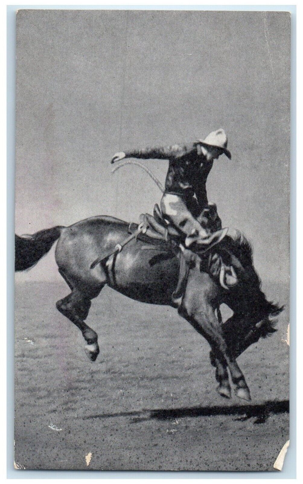 1941 Iowa's Championship Rodeo Horse Cowboy Sidney Iowa Vintage Vintage Postcard