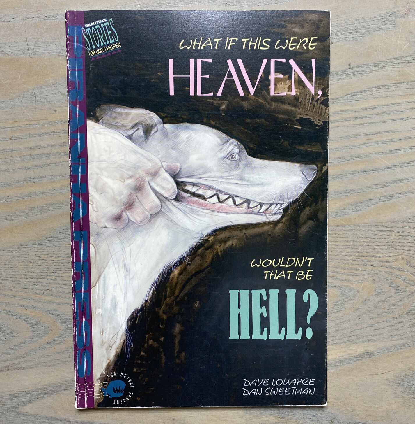 What If This Were Heaven - Beautiful Stories for Ugly Children - Piranha Press